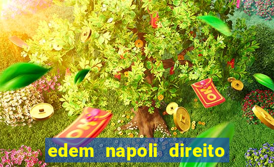 edem napoli direito constitucional pdf